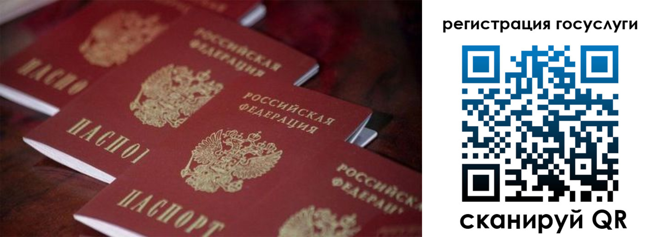 где прописаться в Мытищах